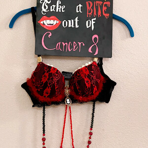 WBCI's Bras with a Cause